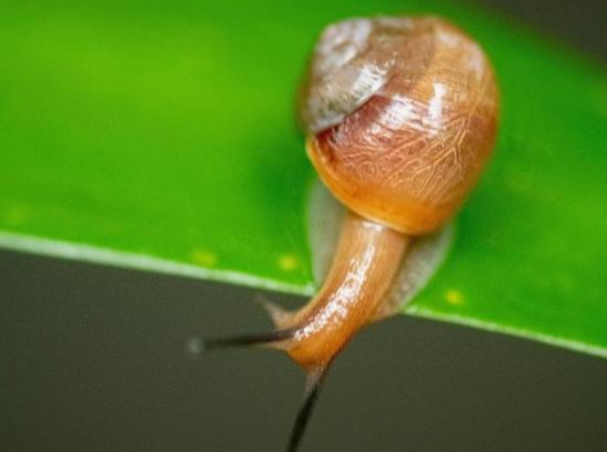 同是有地有房的上海本地人,受动迁政策影响,他们的幸福指数相同吗的图片 同是有地有房的上海本地人,受动迁政策影响,他们的幸福指数相同吗