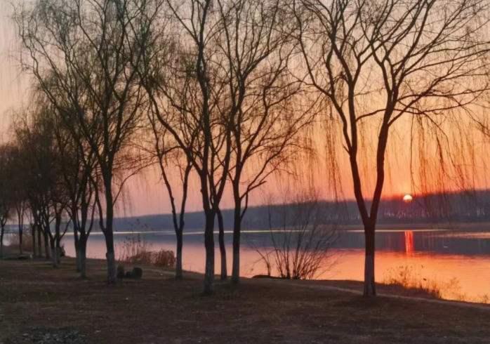 “鄕”里没了郎,吆喝也是扯鸟蛋的图片 “鄕”里没了郎,吆喝也是扯鸟蛋