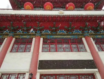 尔滨!你会给我点赞吗?的图片 尔滨!你会给我点赞吗?