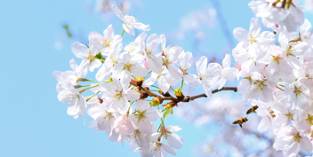 自夸者无功绩；自负者难长久