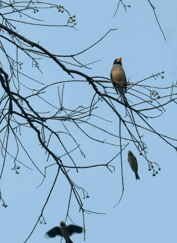 有滋有味的生活的图片 有滋有味的生活