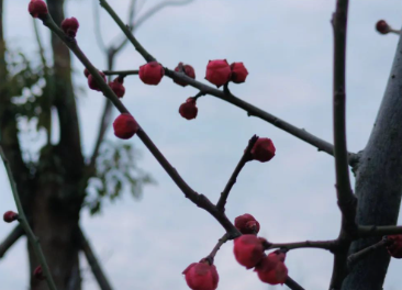 妈妈，你鼓励一下我吧