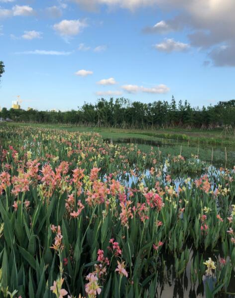 快乐的胡达古拉(七十八)的图片 快乐的胡达古拉(七十八)