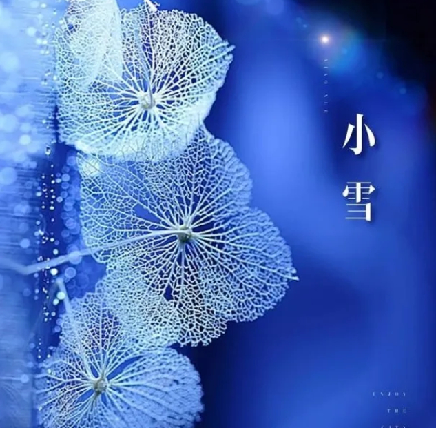 小雪吟怀的图片 小雪吟怀