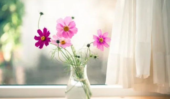 居家隔离日记（一）