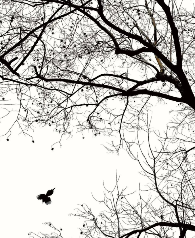 等着明亮降临的图片 等着明亮降临