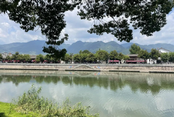 灿若黎明的图片 灿若黎明