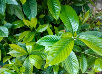 里面的人,外面的人,皆是风景的图片 里面的人,外面的人,皆是风景