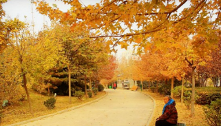 婆婆的一生的图片 婆婆的一生