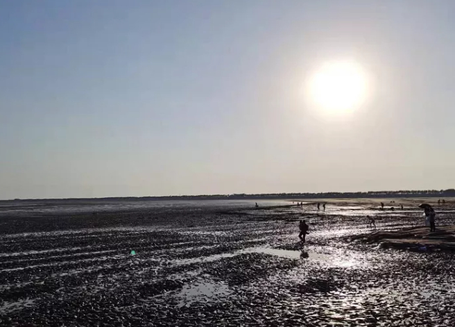 联想在条子泥跑步，会有多喜感