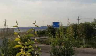 又是一年重阳节的图片 又是一年重阳节