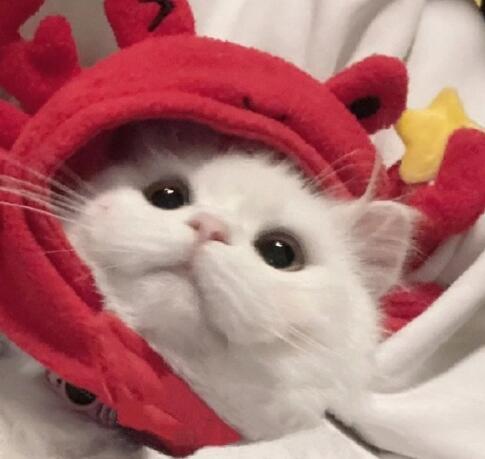 小小说:转变的图片 小小说:转变