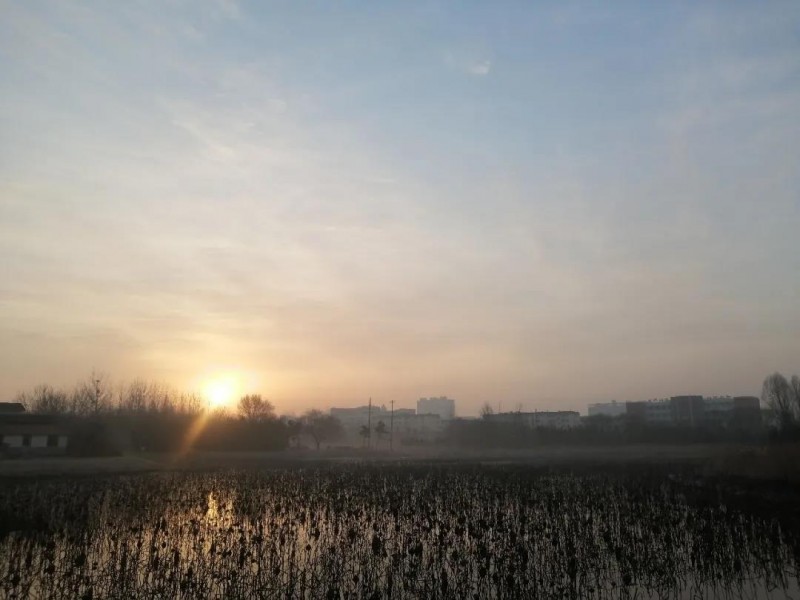 孤独是种大自在的图片 第1张 孤独是种大自在