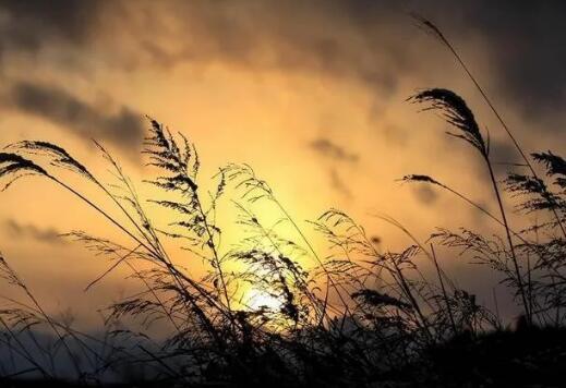 我的日记:九五年刚上高中时的那次地震的图片 我的日记:九五年刚上高中时的那次地震