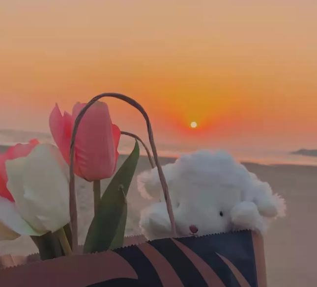 把鸡毛蒜皮换成风和日丽的图片 把鸡毛蒜皮换成风和日丽