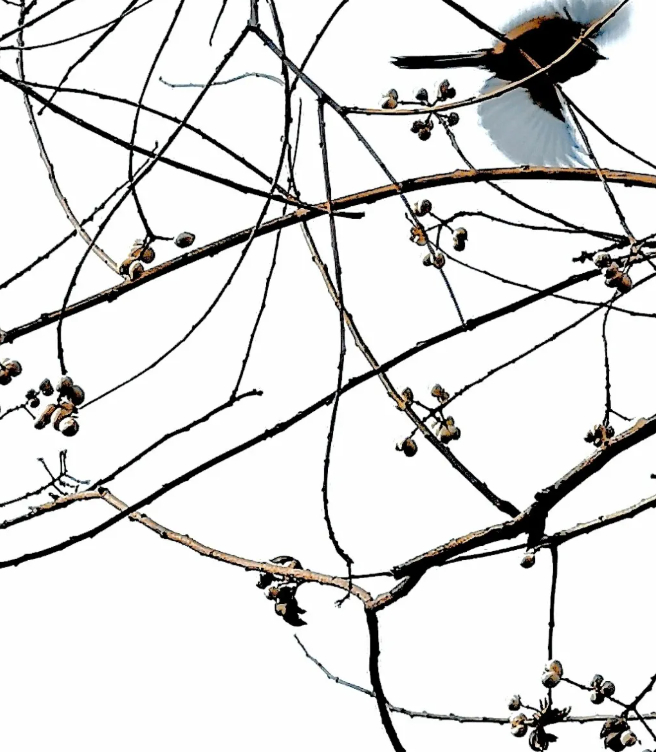 我就在孤寂与充盈之间的图片 我就在孤寂与充盈之间