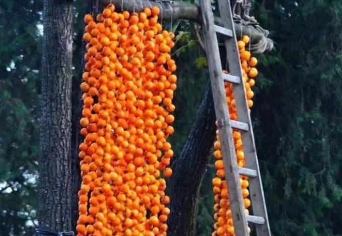 家乡三果的图片 家乡三果