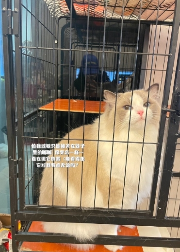 H4cker和妻子晒甜蜜合照:可爱的五一~