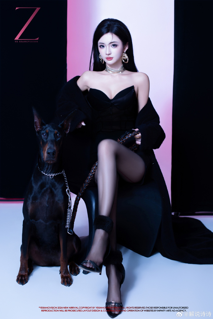 K甲解说诗诗晒照:* ੯‧̀͡⬮ 小狗狗