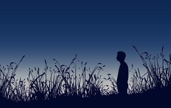 如果你还知道其他的路,请告诉我!的图片 如果你还知道其他的路,请告诉我!