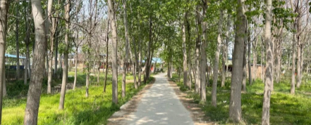 解决办法,暂时没想好。的图片 解决办法,暂时没想好。