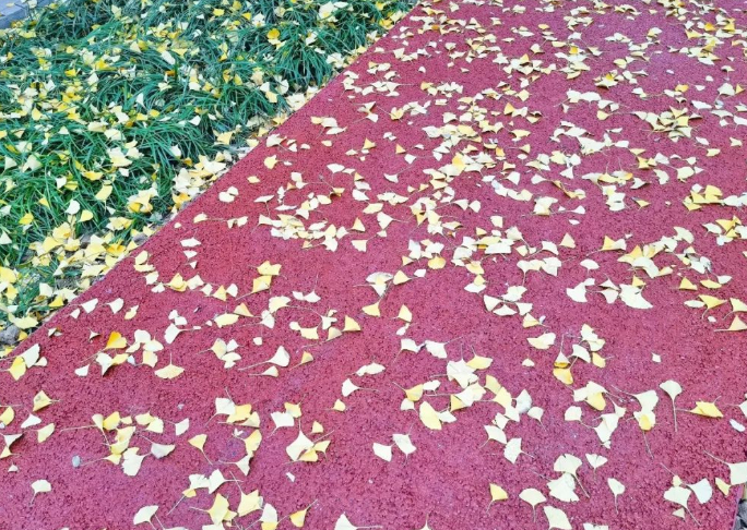 与初雪共清欢,与时光共从容的图片 与初雪共清欢,与时光共从容