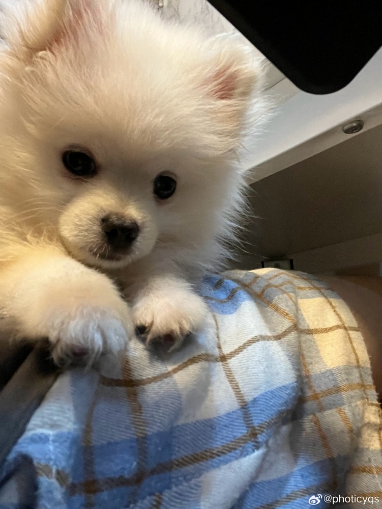 Photic赛后更博:拿下收官战很开心 组内赛我们会继续加油的