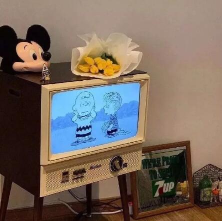 一边任性,一边寻找栖息的地方的图片 一边任性,一边寻找栖息的地方