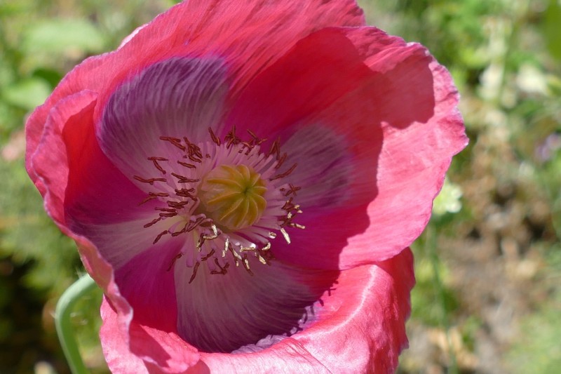 语不惊人死不休(307)“如果”是一个平行世界