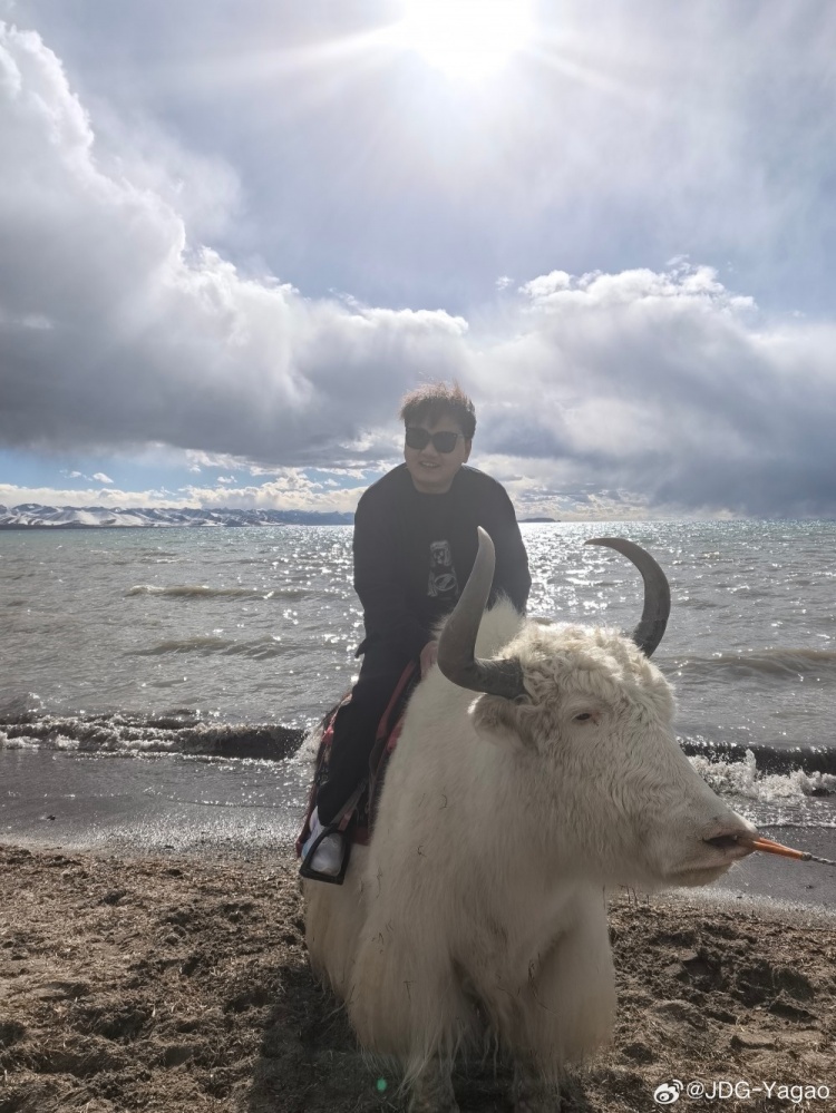 膏子哥分享在西藏旅游的照片:被牛牛二连了