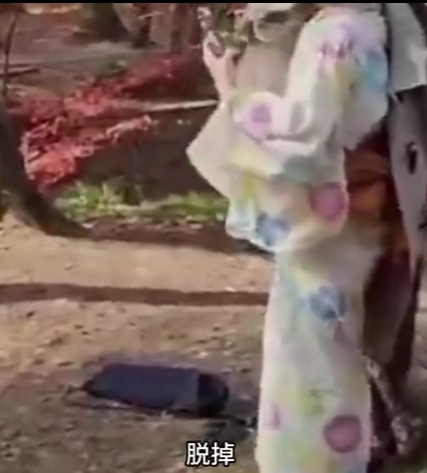 唉~coser在南京植物园穿和服被怒骂:脱掉!没有底线知不知道?