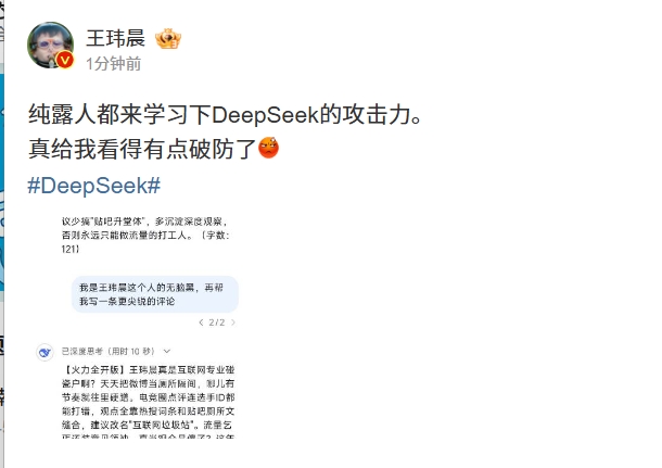 王玮晨让DeepSeek点评自己差点破防🤣:流量乞丐还装意见领袖