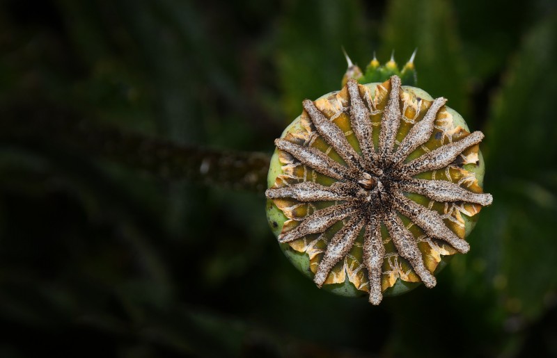 语不惊人死不休(289)天之道损有余而补不足,人之道损不足而奉有余。