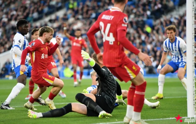 迈博体育 索博世界波利物浦2-3布莱顿