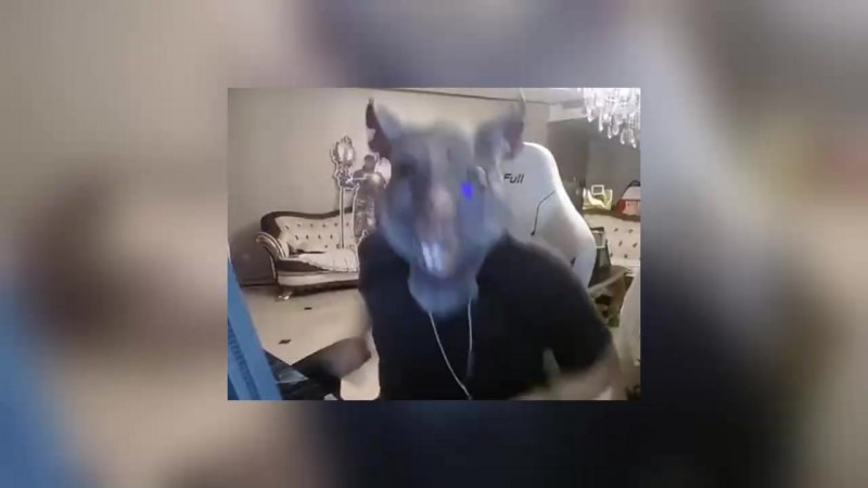 姿态看IG战胜JDG赛后语音TheShy疯狂交流：今天TS话这么多吗！