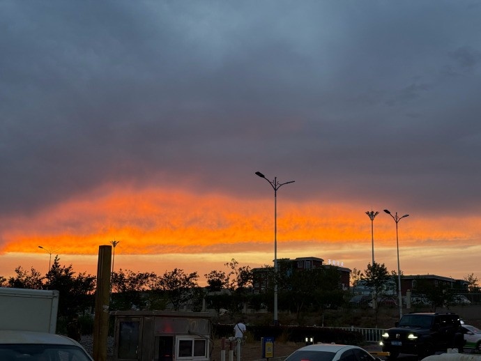 管泽元更新动态：回上海落地发现身份证丢了 好想机械飞升 ​​​