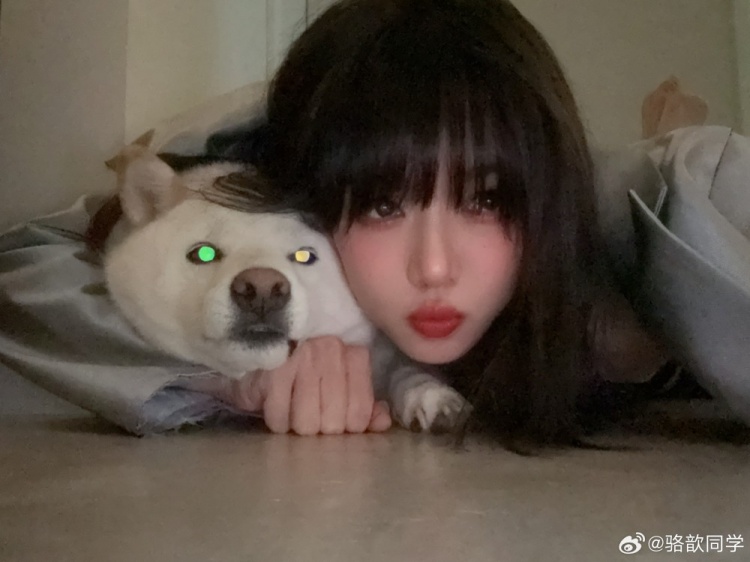 主持骆歆晒照：作息炸了，趁机和我的小狗拍了一万张照片