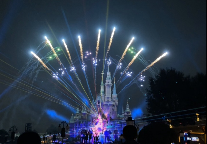 AL都是好兄弟啊！Tarzan更博迪斯尼游玩照：带孩子们迪士尼打卡✅