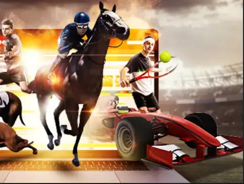 大发娱乐《百练赛》：巅峰竞技，燃爆全场的英雄对决！