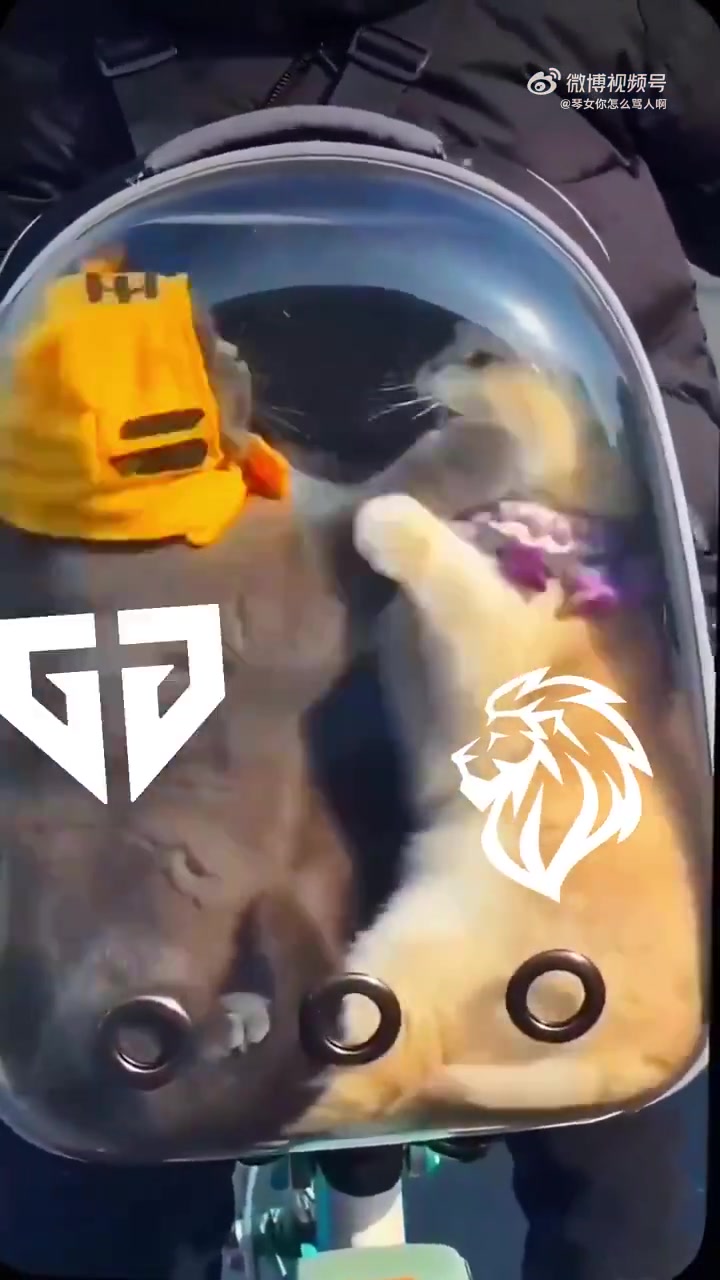 LYON发布对阵GEN赛前视频：画面可能令人不适 请谨慎观看