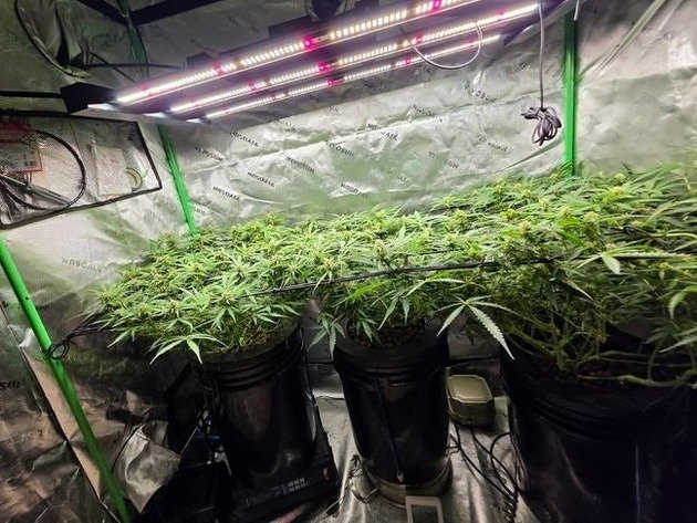 继BTS后今年第二组!CORTIS迷你二辑《GREENGREEN》达成三百万销量